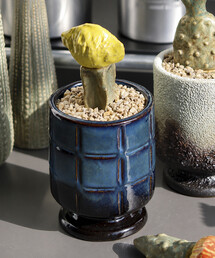 POST GENERAL（ポストジェネラル）の「POST GENERAL/ポストジェネラル THE CACTI POT ザ カクティポット（インテリア雑貨）」