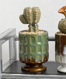 POST GENERAL（ポストジェネラル）の「POST GENERAL/ポストジェネラル THE CACTI POT ザ カクティポット（インテリア雑貨）」