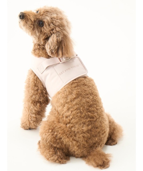 gelato pique（ジェラートピケ）の「【CAT&DOG】【販路限定商品】ハーネス（リード/ハーネス/首輪・レディース・ブルー/ピンク・SMALL/MEDIUM/LARGE）」の18枚目の写真