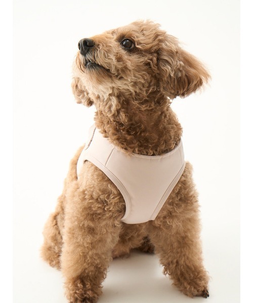 gelato pique（ジェラートピケ）の「【CAT&DOG】【販路限定商品】ハーネス（リード/ハーネス/首輪・レディース・ブルー/ピンク・SMALL/MEDIUM/LARGE）」の19枚目の写真