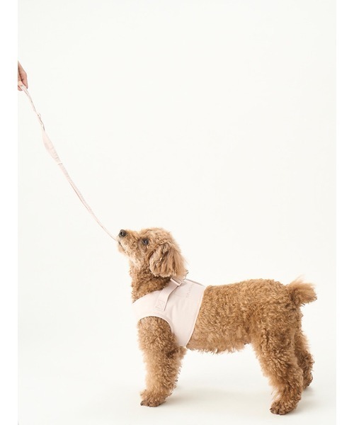最終値下げ CAT&DOG】【販路限定商品】ハーネス（リード/ハーネス/首輪 首輪・ハーネス・リード