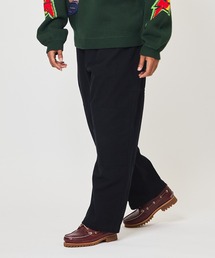 XLARGE | DUCK MOUNTAIN PANTS(その他パンツ)
