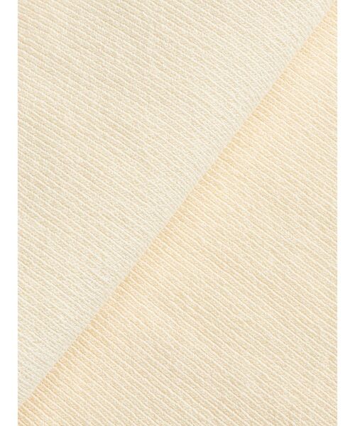 LAGUNAMOON（ラグナムーン）の「メッシュエンブロイダリーニットプルオーバー（ニット/セーター・レディース・ブルー/ブラック/アイボリー・FREE）」の12枚目の写真