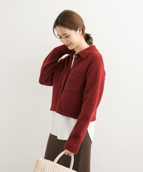 URBAN RESEARCH DOORS（アーバンリサーチドアーズ）の「コンパクト衿付きニット（ニット/セーター・レディース・ボルドー/チャコールグレー・MEDIUM）」の22枚目の写真