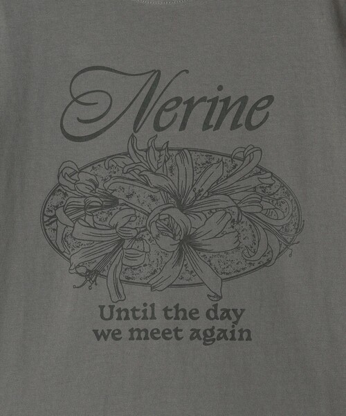 WAVE UNION（ウェーブユニオン）の「【別注】＜WAVE UNION＞プリント Tシャツ（Tシャツ/カットソー・レディース・ダークグレー/ベージュ/ホワイト・FREE）」の9枚目の写真