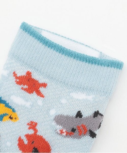 kladskap（クレードスコープ）の「深海スニーカーインソックス（ソックス/靴下・キッズ・オフホワイト/サックスブルー・S(13-15cm)/M(16-18cm)/11-13cm/L(18-20cm)）」の3枚目の写真