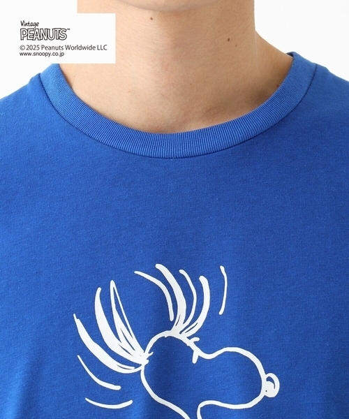 MK MICHEL KLEIN HOMME （エムケーミッシェルクランオム）の「【洗える】ビンテージスヌーピーTシャツ（Tシャツ/カットソー・メンズ・ピンク/ホワイト/ブルー/チャコールグレー・48/51/46）」の20枚目の写真