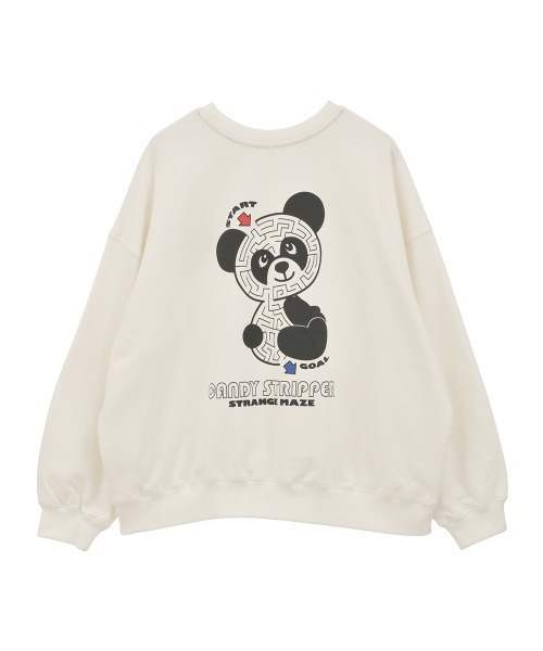 フトオアゲハ♂標本 ☆台湾産☆有名種 104mm 美麗標本状態⭕️ 入手困難