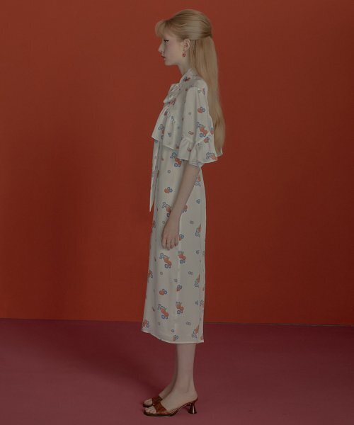 ICE GARDEN A.508(アイス ガーデン エイオーゴンパル)の「FRUIT PRINT CAPE(その他トップス・レディース・その他・SMALL/MEDIUM)」の4枚目の写真