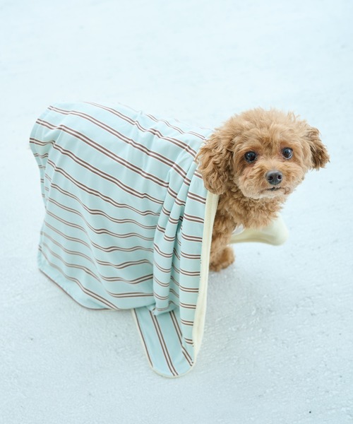 洋楽 Rup Dog 洋楽 Rup Dogの通販 | SITEHUBPREVIEW