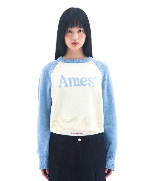 AMESWORLDWIDE(アメスワールドワイド)の「BASIC RAGLAN PULLOVER KNIT LIGHT BLUE(ニット/セーター・メンズ・その他・LARGE/MEDIUM/SMALL)」の4枚目の写真