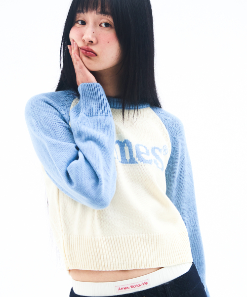 AMESWORLDWIDE(アメスワールドワイド)の「BASIC RAGLAN PULLOVER KNIT LIGHT BLUE(ニット/セーター・メンズ・その他・LARGE/MEDIUM/SMALL)」の6枚目の写真