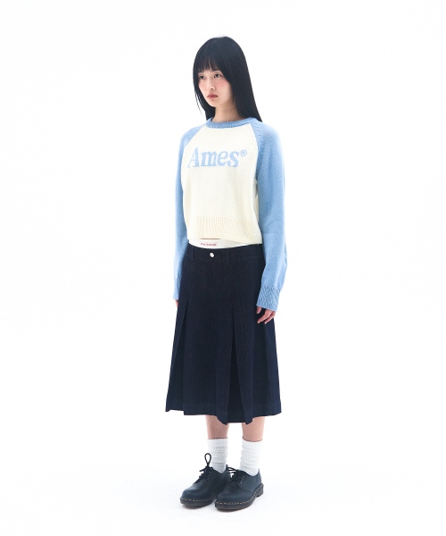 AMESWORLDWIDE(アメスワールドワイド)の「BASIC RAGLAN PULLOVER KNIT LIGHT BLUE(ニット/セーター・メンズ・その他・LARGE/MEDIUM/SMALL)」の8枚目の写真