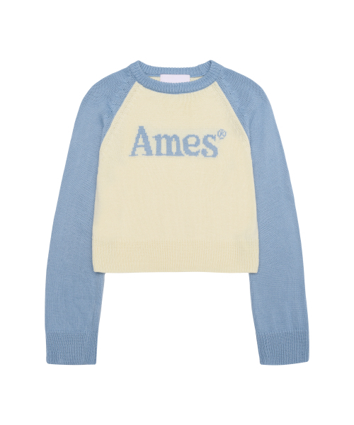 AMESWORLDWIDE(アメスワールドワイド)の「BASIC RAGLAN PULLOVER KNIT LIGHT BLUE(ニット/セーター・メンズ・その他・LARGE/MEDIUM/SMALL)」の12枚目の写真