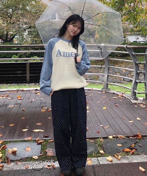 AMESWORLDWIDE(アメスワールドワイド)の「BASIC RAGLAN PULLOVER KNIT LIGHT BLUE(ニット/セーター・メンズ・その他・LARGE/MEDIUM/SMALL)」の17枚目の写真