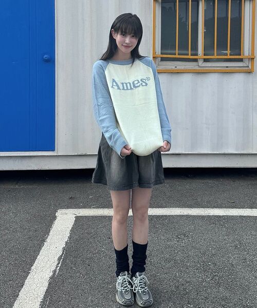 AMESWORLDWIDE(アメスワールドワイド)の「BASIC RAGLAN PULLOVER KNIT LIGHT BLUE(ニット/セーター・メンズ・その他・LARGE/MEDIUM/SMALL)」の2枚目の写真