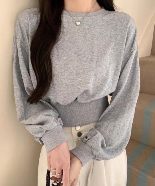 Alvia（アルビア）の「ショート丈スウェットプルオーバー　レーナー（Tシャツ/カットソー・レディース・グレー/アイボリー・M）」の12枚目の写真