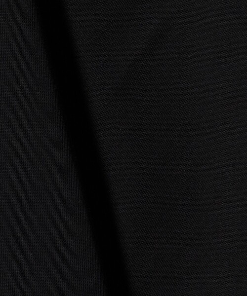 green label relaxing(グリーンレーベルリラクシング)の「【別注/WEB限定】<3/2 WORKS>GLR ユーティリティ 半袖 Tシャツ カットソー(Tシャツ/カットソー・メンズ・ワイン/ライトグレー/オフホワイト/ブラック・S/M/L/XL)」の21枚目の写真
