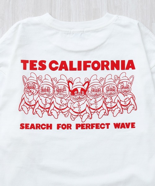The Endless Summer(エンドレスサマー)の「TES SEVENS BUHI FLOCK PT LONG SLEEVE T-SHIRT / ロンT(Tシャツ/カットソー・メンズ・グレー/ホワイト/ブラック・XX-LARGE/X-LARGE/LARGE/MEDIUM/SMALL)」の13枚目の写真