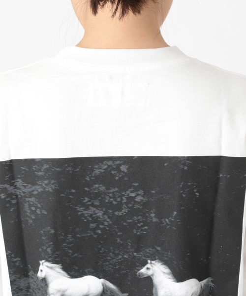 JANESMITH（ジェーンスミス）の「【JANE SMITH/ジェーンスミス】HORSE No.1 LONG SLEEVE T-SHIR：カットソー（Tシャツ/カットソー・レディース・ホワイト/ブラック・MEDIUM）」の21枚目の写真