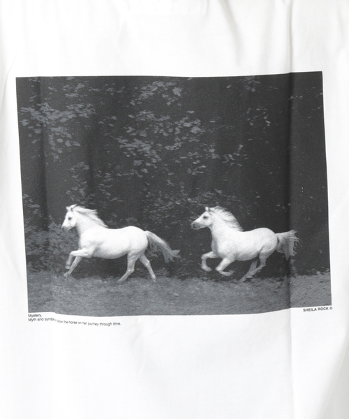 JANESMITH（ジェーンスミス）の「【JANE SMITH/ジェーンスミス】HORSE No.1 LONG SLEEVE T-SHIR：カットソー（Tシャツ/カットソー・レディース・ホワイト/ブラック・MEDIUM）」の22枚目の写真