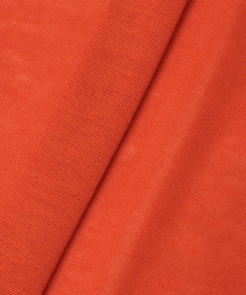 allureville（アルアバイル）の「強撚シアーフライスプルオーバー（Tシャツ/カットソー・レディース・オフホワイト/ブラック/オレンジ・2）」の9枚目の写真