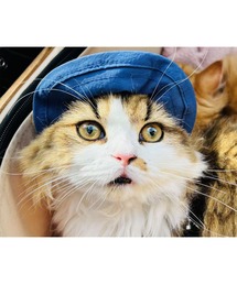 GLOBAL FORME CONCRETE（グローバルフォルムコンクリート）の「Wan Nyan Cap　ワンニャン キャップ（ペットウェア）」