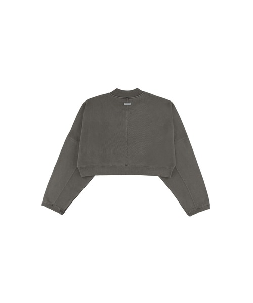 ALEXIA STAM（アリシアスタン）の「Wellness Logo Pigment Cropped Sweat Blouson /ピグメントZIPスウェットトップス（スウェット・レディース・ブルー/チャコールグレー/ブラウン・FREE）」の19枚目の写真