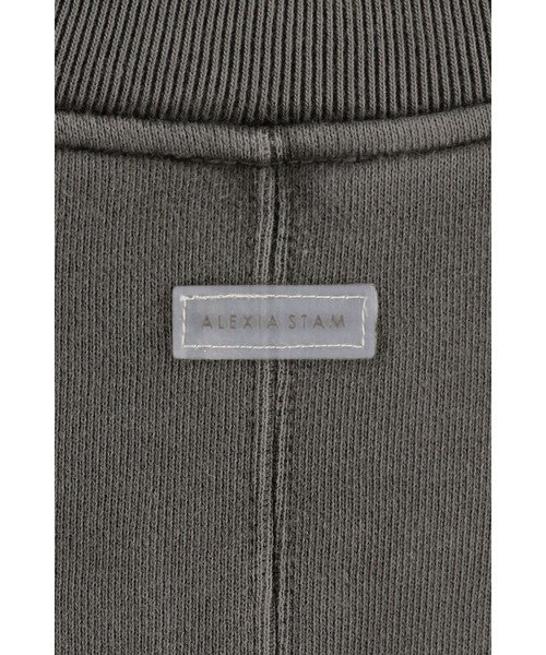 ALEXIA STAM（アリシアスタン）の「Wellness Logo Pigment Cropped Sweat Blouson /ピグメントZIPスウェットトップス（スウェット・レディース・ブルー/チャコールグレー/ブラウン・FREE）」の22枚目の写真
