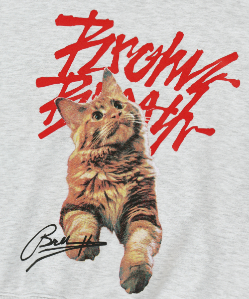 BROWNBREATH（ブラウンブレス）の「W CRUSH TAG KITTY HOODIE - ASH（パーカー・レディース・その他・SMALL/MEDIUM）」の8枚目の写真