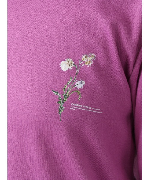 leswel（レスウェル）の「【M～5L 大きいサイズ】ワンポイント ラウンドヘム ロンＴ（Tシャツ/カットソー・レディース・パープル/カーキ/チャコールグレー・M/L/LL/3L/4L/5L）」の18枚目の写真