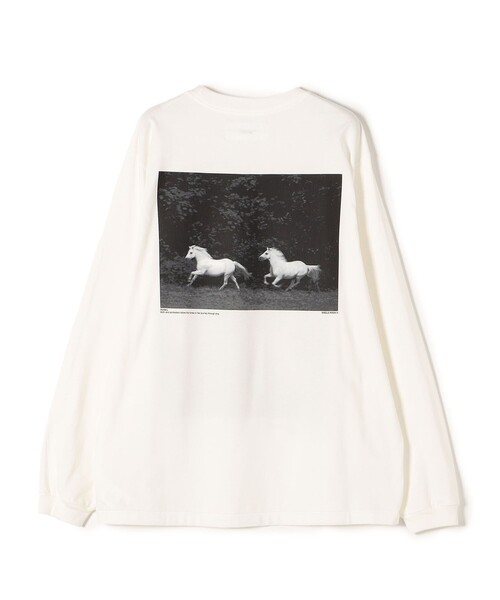 JANE SMITH / JOHN SMITH（ジェーンスミスジョンスミス）の「JANE SMITH:プリントロングスリーブTEE（Tシャツ/カットソー・レディース・ホワイト系その他/チャコールグレー/ライトホワイト/ブラック・MEDIUM/SMALL）」の5枚目の写真