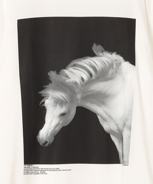 JANE SMITH / JOHN SMITH（ジェーンスミスジョンスミス）の「JANE SMITH:プリントロングスリーブTEE（Tシャツ/カットソー・レディース・ホワイト系その他/チャコールグレー/ライトホワイト/ブラック・MEDIUM/SMALL）」の7枚目の写真