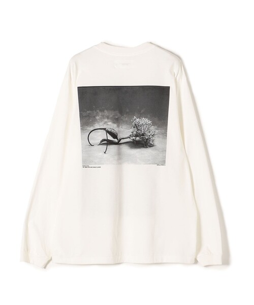 JANE SMITH / JOHN SMITH（ジェーンスミスジョンスミス）の「JANE SMITH:プリントロングスリーブTEE（Tシャツ/カットソー・レディース・ホワイト系その他/チャコールグレー/ライトホワイト/ブラック・MEDIUM/SMALL）」の10枚目の写真