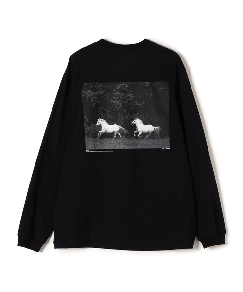 JANE SMITH / JOHN SMITH（ジェーンスミスジョンスミス）の「JANE SMITH:プリントロングスリーブTEE（Tシャツ/カットソー・レディース・ホワイト系その他/チャコールグレー/ライトホワイト/ブラック・MEDIUM/SMALL）」の12枚目の写真