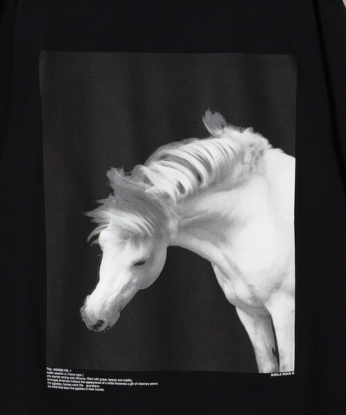 JANE SMITH / JOHN SMITH（ジェーンスミスジョンスミス）の「JANE SMITH:プリントロングスリーブTEE（Tシャツ/カットソー・レディース・ホワイト系その他/チャコールグレー/ライトホワイト/ブラック・MEDIUM/SMALL）」の13枚目の写真