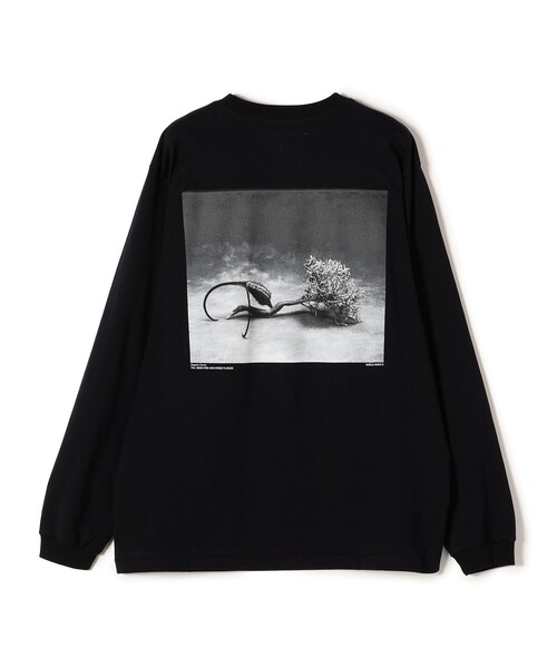 JANE SMITH / JOHN SMITH（ジェーンスミスジョンスミス）の「JANE SMITH:プリントロングスリーブTEE（Tシャツ/カットソー・レディース・ホワイト系その他/チャコールグレー/ライトホワイト/ブラック・MEDIUM/SMALL）」の14枚目の写真