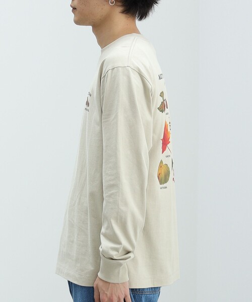 BEAMS HEART(ビームスハート)の「BEAMS HEART / アウトドア プリント ロングスリーブ(Tシャツ/カットソー・メンズ・グリーン系その他/ベージュ・LARGE/MEDIUM/SMALL)」の8枚目の写真