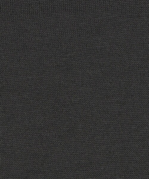 GALERIE VIE(ギャルリー ヴィー)の「パウダーコットン クルーネックプルオーバー(Tシャツ/カットソー・レディース・ブラック/ホワイト×ブラック/ホワイト/ネイビー/チャコールグレー/ライトグレー/ホワイト系その他・FREE)」の19枚目の写真