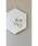 tone�i�g�[���j�́u�yAgaro�zNo.414�@2way �t�[�v�C�������O�@�s�A�X����(MA)�i�C�������O�j�v�b�S�[���h