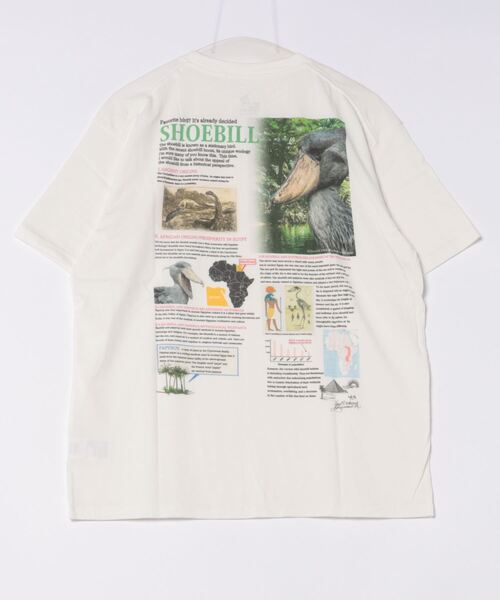 go slow caravan(ゴースローキャラバン)の「ハシビロコウ図鑑TEE(Tシャツ/カットソー・メンズ・ホワイト/ブラック・X-LARGE/LARGE/MEDIUM)」の14枚目の写真