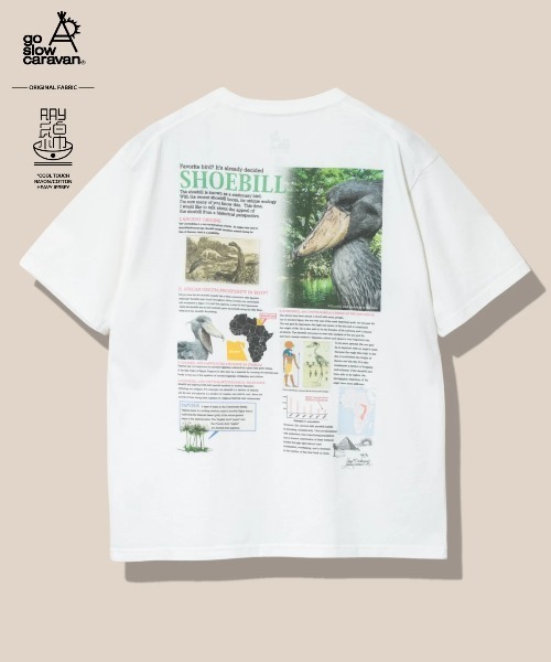 ハシビロコウ図鑑TEE（Tシャツ/カットソー）｜go slow caravan（ゴースローキャラバン） 4,858円