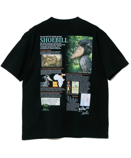 go slow caravan(ゴースローキャラバン)の「ハシビロコウ図鑑TEE(Tシャツ/カットソー・メンズ・ホワイト/ブラック・X-LARGE/LARGE/MEDIUM)」の8枚目の写真