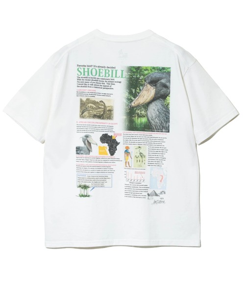 go slow caravan(ゴースローキャラバン)の「ハシビロコウ図鑑TEE(Tシャツ/カットソー・メンズ・ホワイト/ブラック・X-LARGE/LARGE/MEDIUM)」の11枚目の写真