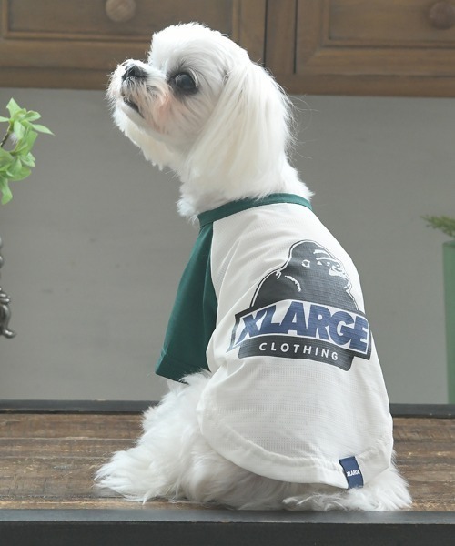 セール】XLARGE/OGラグランメッシュTシャツ（ペットウェア）｜XLARGE