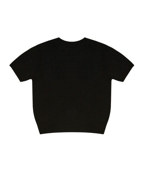 LUVISTRUE(ラヴイズトゥルー)の「PY LOGO WAPPEN KNIT(ニット/セーター・レディース・スカイブルー/ブラック・FREE)」の16枚目の写真