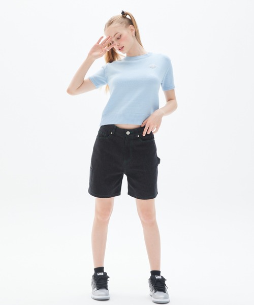 LUVISTRUE(ラヴイズトゥルー)の「PY LOGO WAPPEN KNIT(ニット/セーター・レディース・スカイブルー/ブラック・FREE)」の8枚目の写真