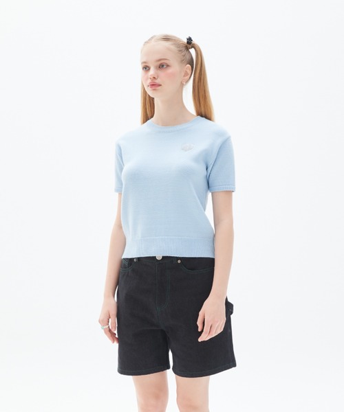 LUVISTRUE(ラヴイズトゥルー)の「PY LOGO WAPPEN KNIT(ニット/セーター・レディース・スカイブルー/ブラック・FREE)」の13枚目の写真