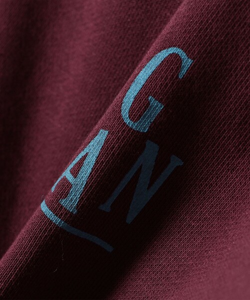 LOGAN knitting mills(ローガンニッティングミルズ)の「【SHIPS別注】LOGAN KNITTING MILLS:プリント ジップ プルオーバー(パーカー・レディース・ライトグレー/ボルドー/ダークグリーン・ONE SIZE)」の19枚目の写真