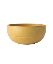 BACKYARD FAMILY（バックヤードファミリー）の「WAYOWAN まる 丼（食器）」